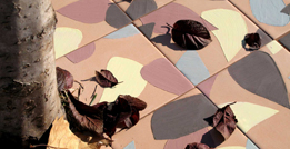 Ceramica